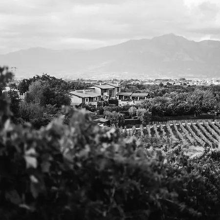 Tenuta Pezzapane Alloggio per agriturismo Alvignanello
